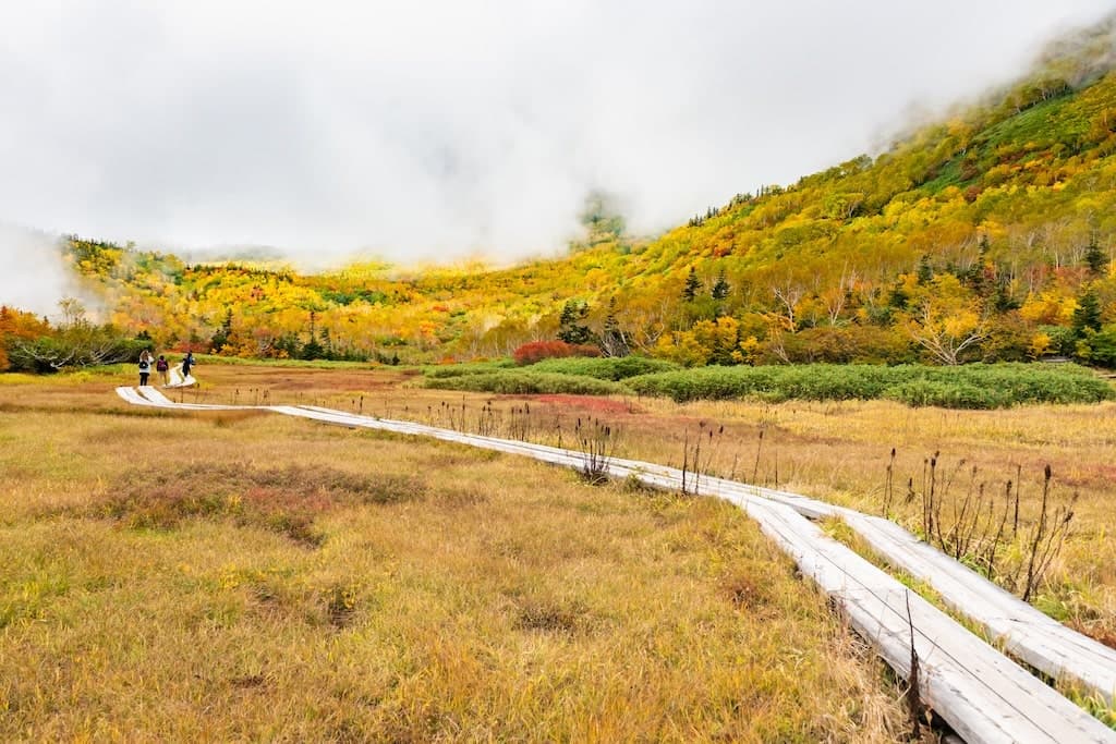 栂池自然園トレッキング